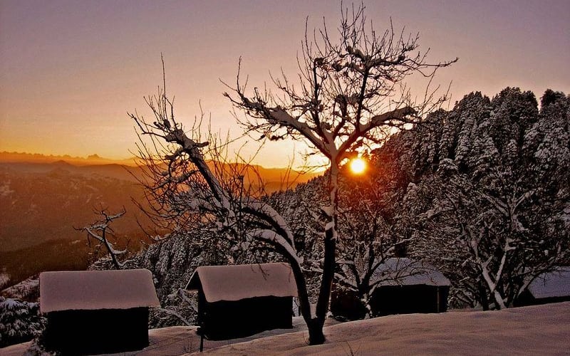 Cedar Hill Lodge, Shimla 4